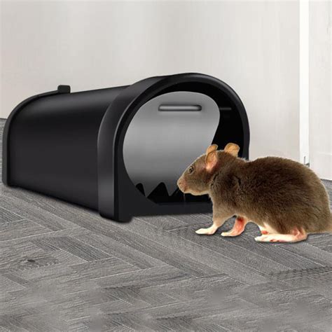 rodent trap metal box|outdoor mouse trap box.